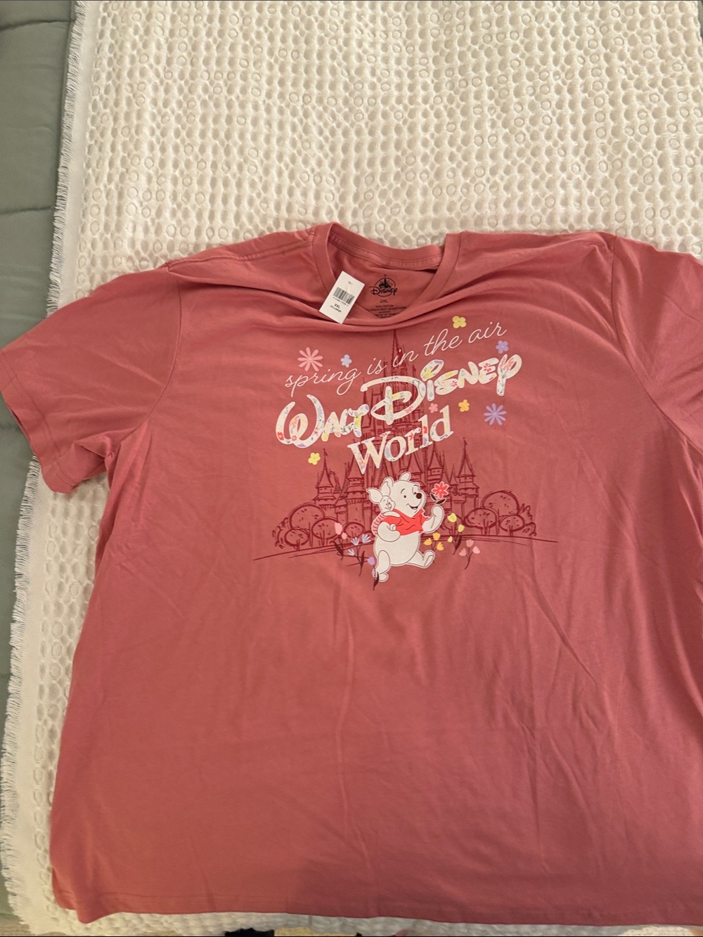 Disney World  Women’s Pink Graphic Tee - Spring Is In The Air
